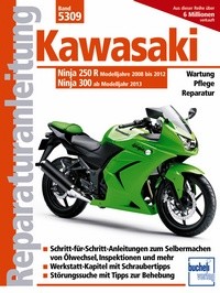 Kawasaki Ninja 250 R (2008-2012) 300 (ab 2013)